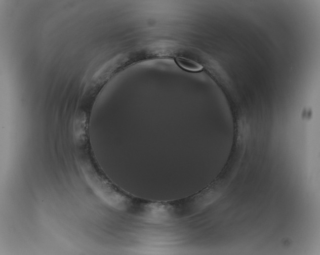 X0000111440073200907271140