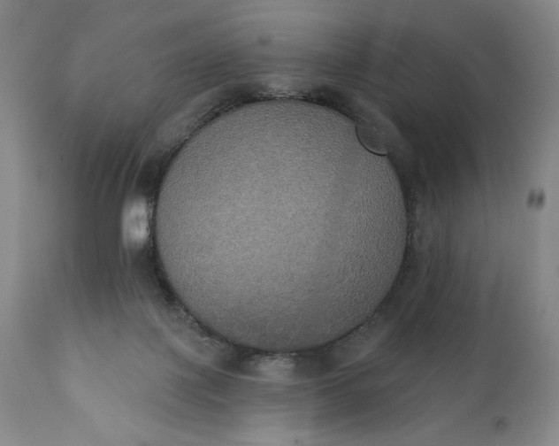 X0000111440075200907271140