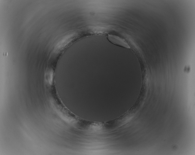 X0000111440076200907271140