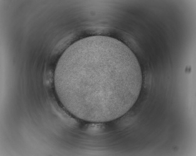 X0000111440077200907271140