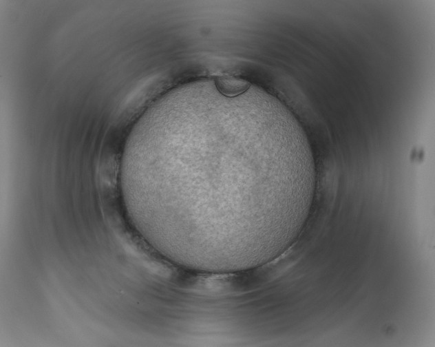 X0000111440078200907271140