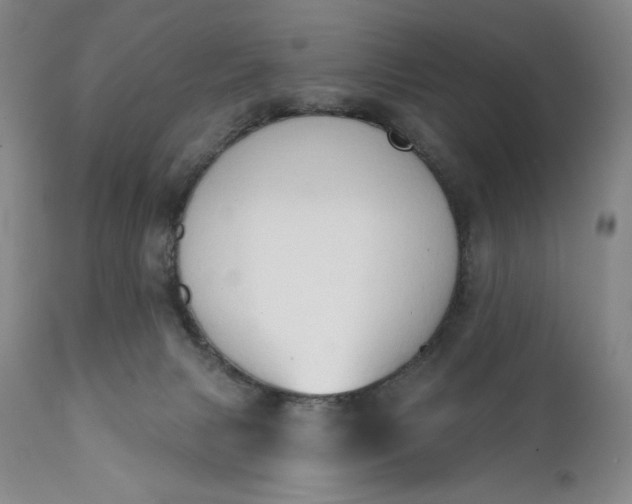 X0000111440079200907271140