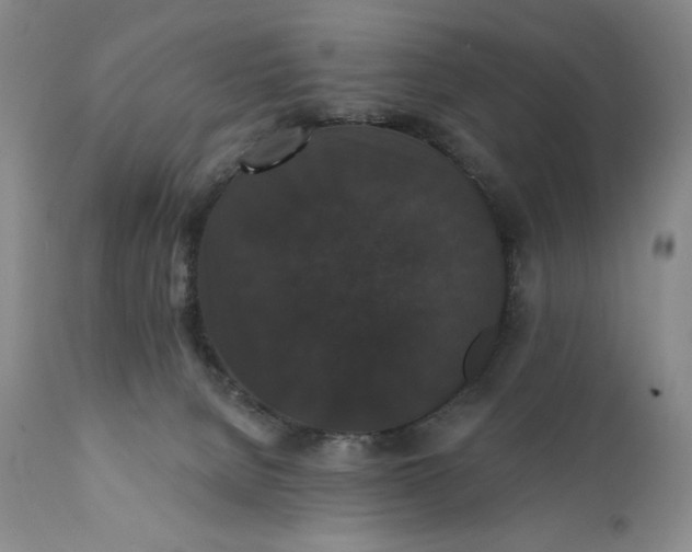 X0000111440080200907271140