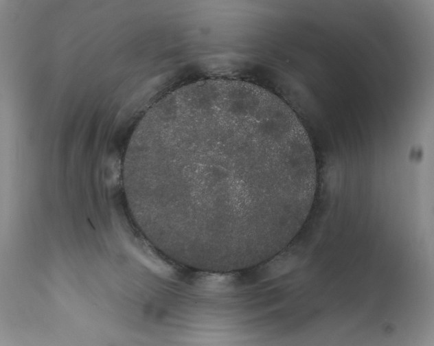 X0000111440081200907271140