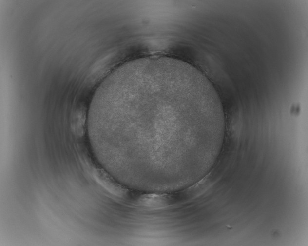 X0000111440082200907271140