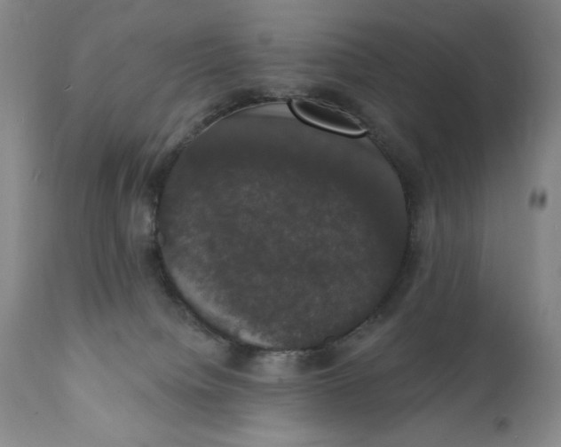 X0000111440084200907271140