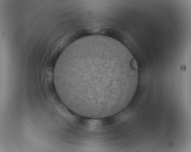 X0000111440085200907271140