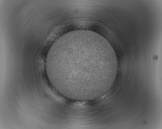 X0000111440086200907271140