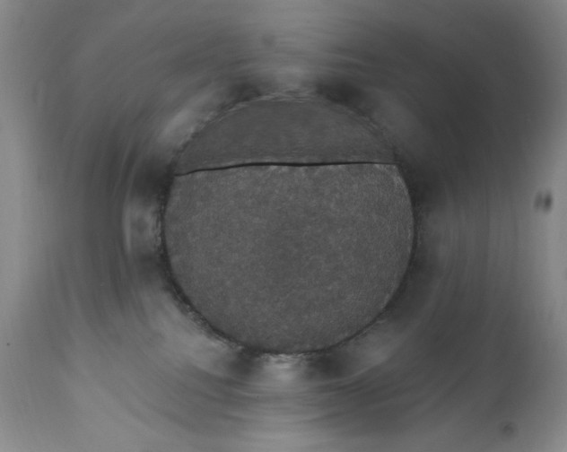 X0000111440088200907271140