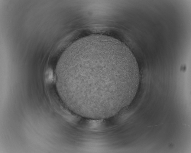 X0000111440089200907271140