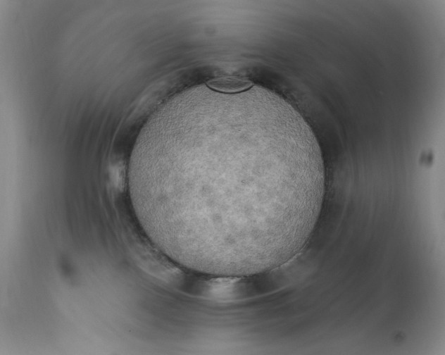 X0000111440090200907271140