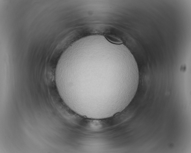 X0000111440091200907271140