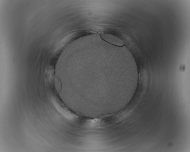 X0000111440092200907271140