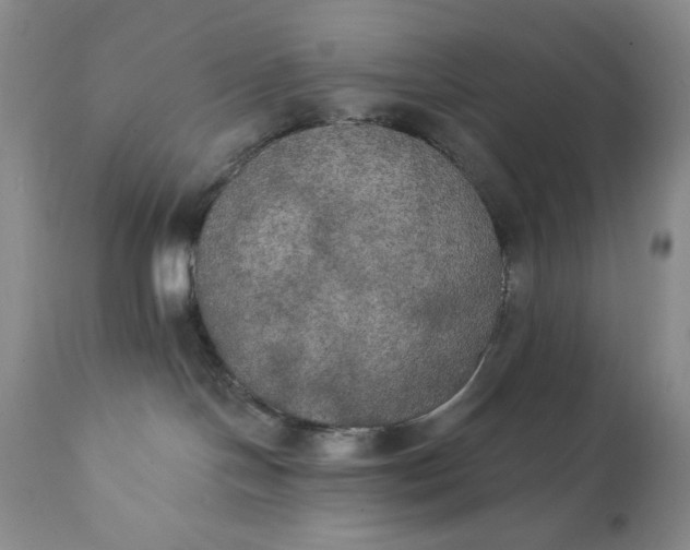 X0000111440094200907271140