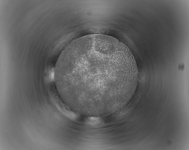 X0000111440095200907271141