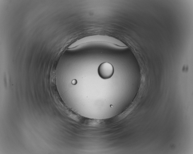 X0000111440096200907271141