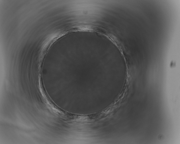 X0000111440097200907271140