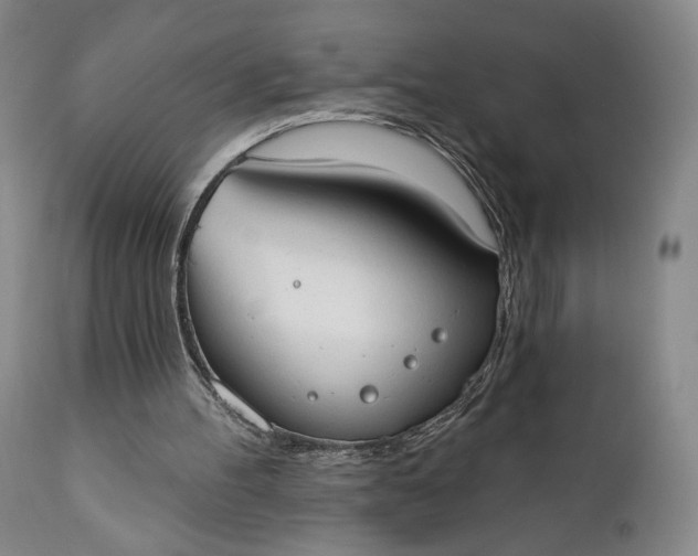 X0000111440100200907271140