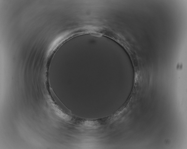 X0000111440101200907271140