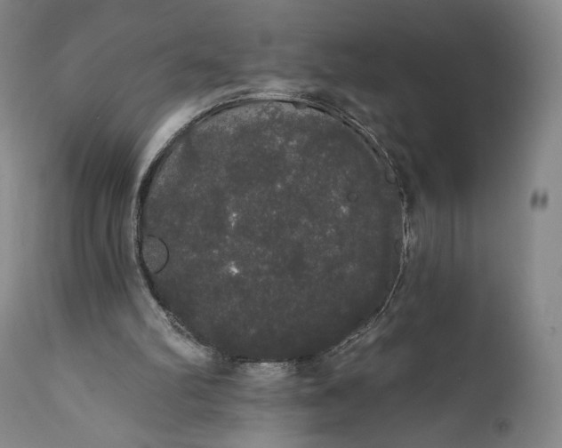 X0000111440102200907271140