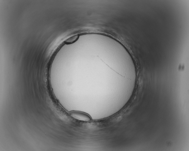 X0000111440103200907271140