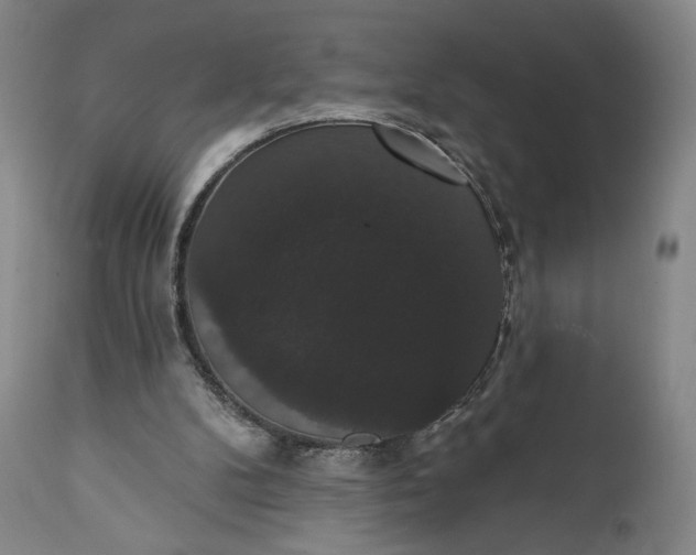 X0000111440104200907271140