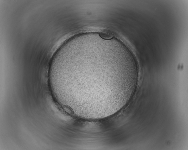 X0000111440107200907271139