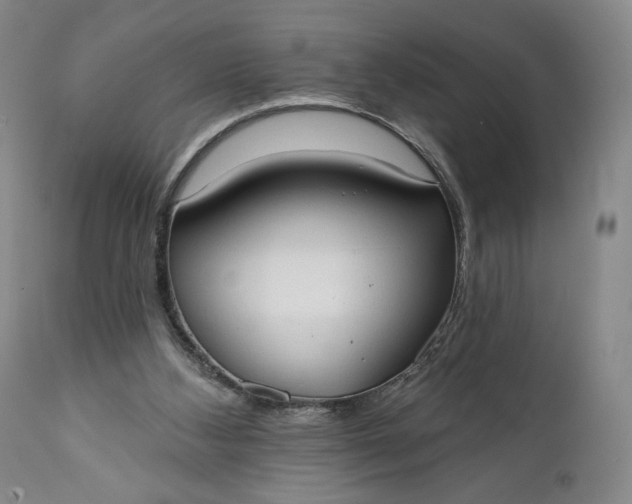 X0000111440108200907271139