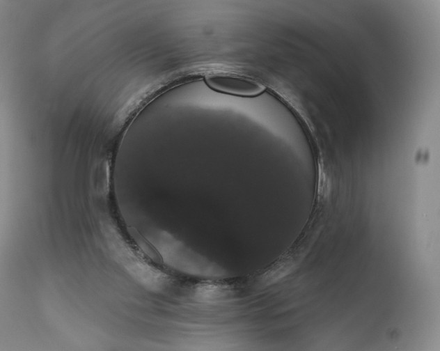 X0000111440109200907271139