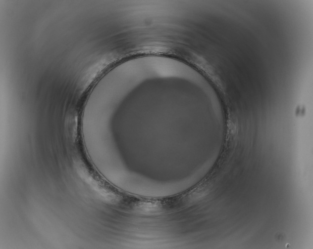 X0000111440110200907271139