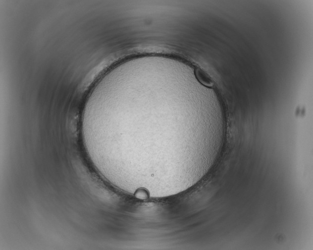 X0000111440111200907271139