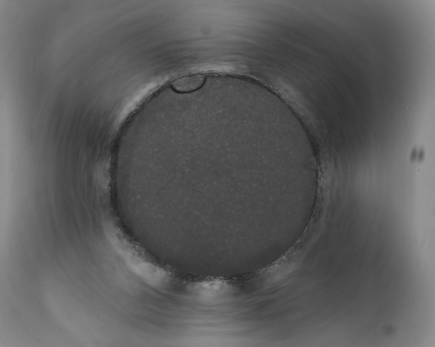 X0000111440112200907271139