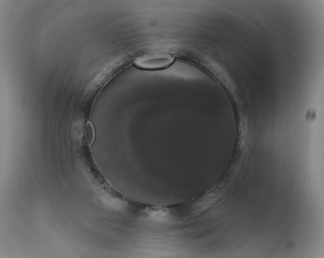 X0000111440113200907271139