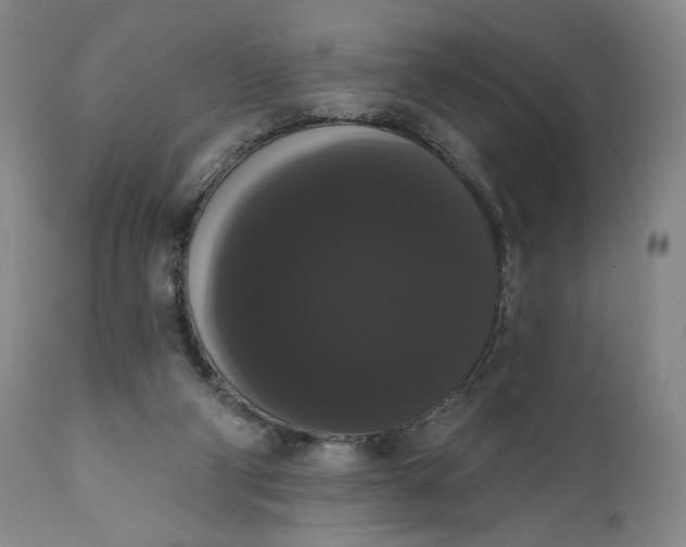 X0000111440114200907271139