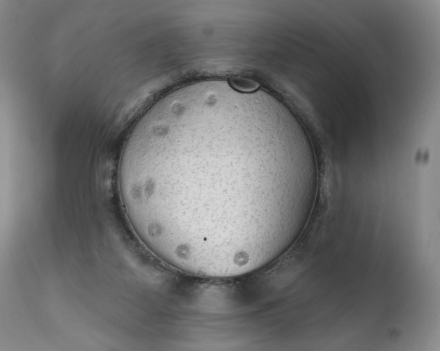 X0000111440115200907271139