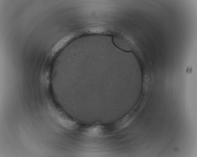 X0000111440116200907271139