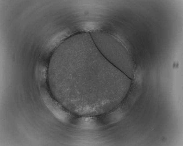 X0000111440117200907271139