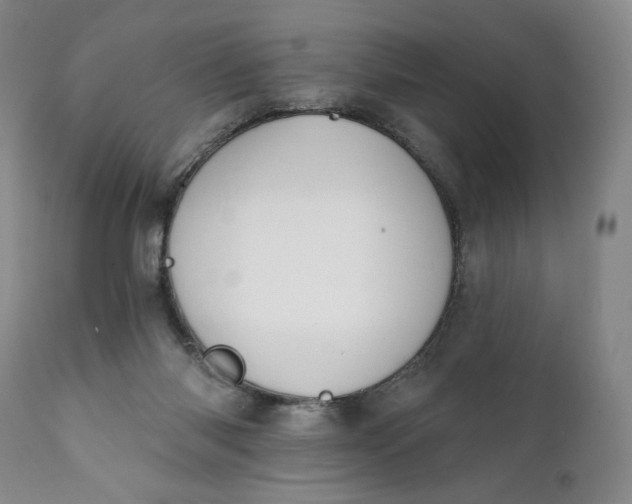 X0000111440118200907271139