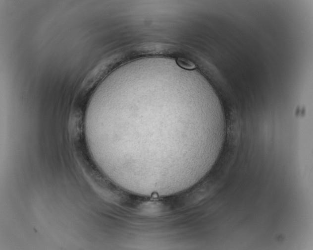 X0000111440119200907271139