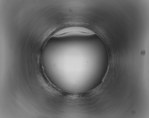 X0000111440120200907271139