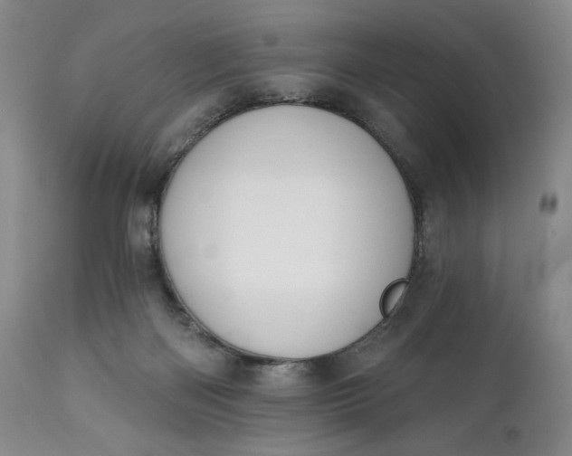 X0000111440122200907271139