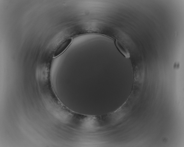 X0000111440124200907271139