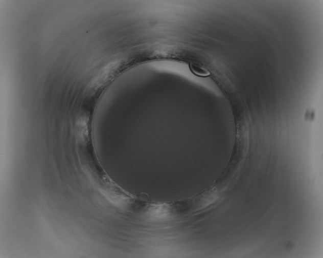 X0000111440127200907271139