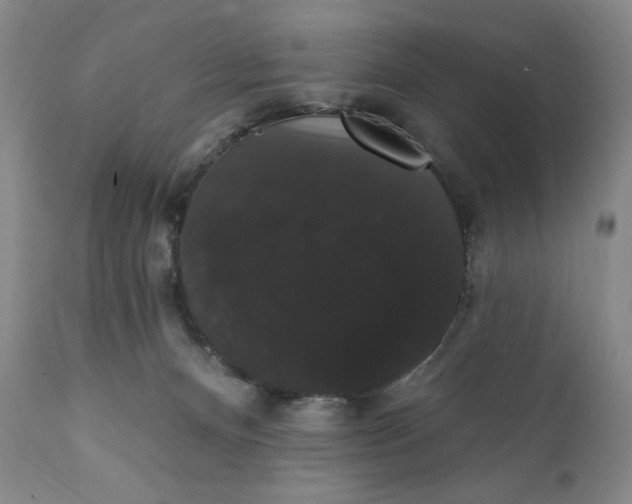 X0000111440128200907271139