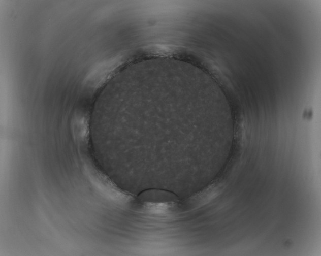 X0000111440131200907271139