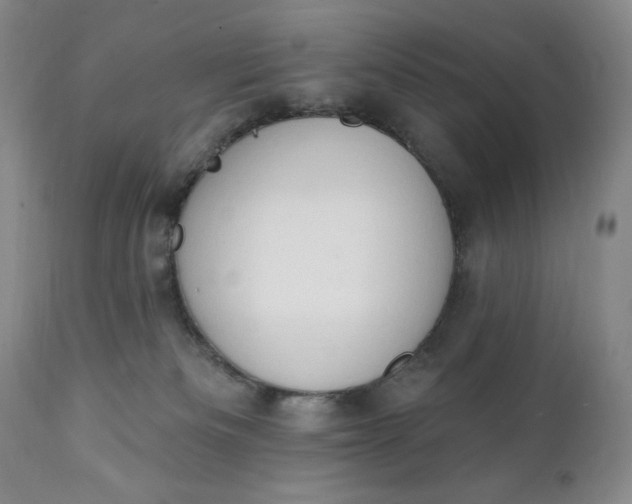 X0000111440133200907271139