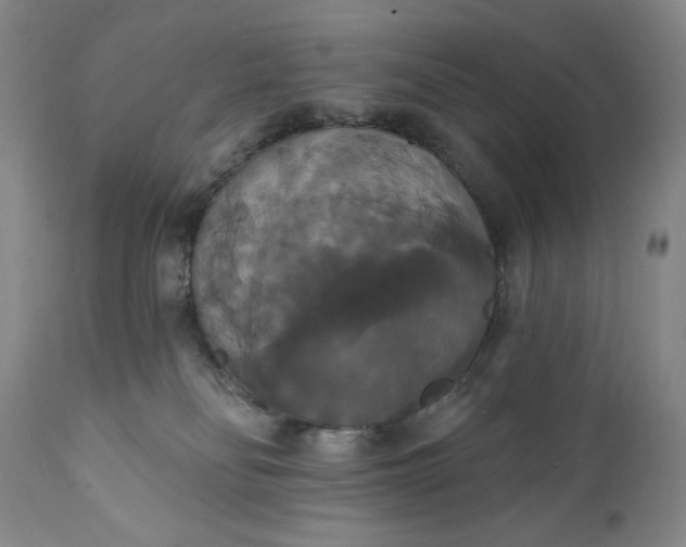 X0000111440134200907271139