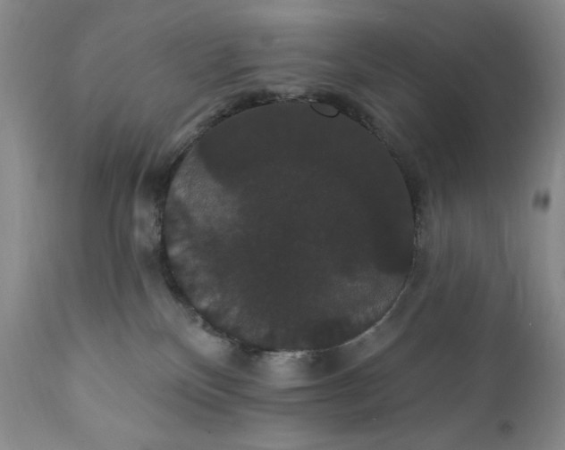 X0000111440136200907271139