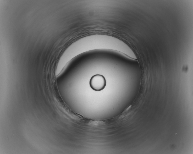 X0000111440137200907271139