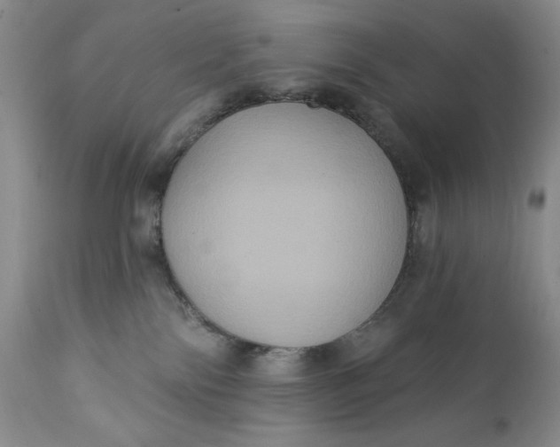 X0000111440138200907271139